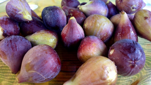 figs