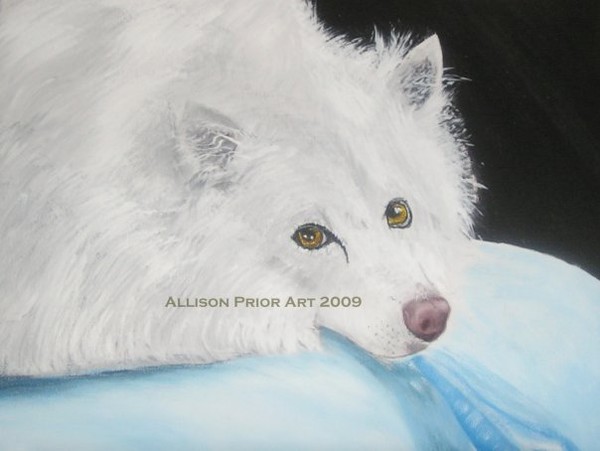 Pet Portrait