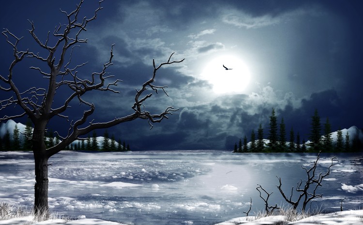 Frozen Lake