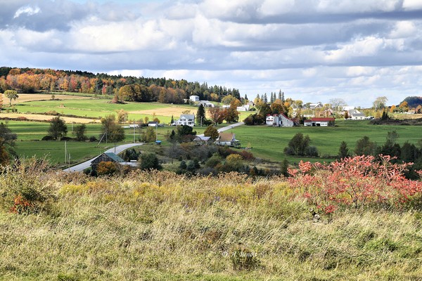Colors On The Hill