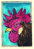 Rooster