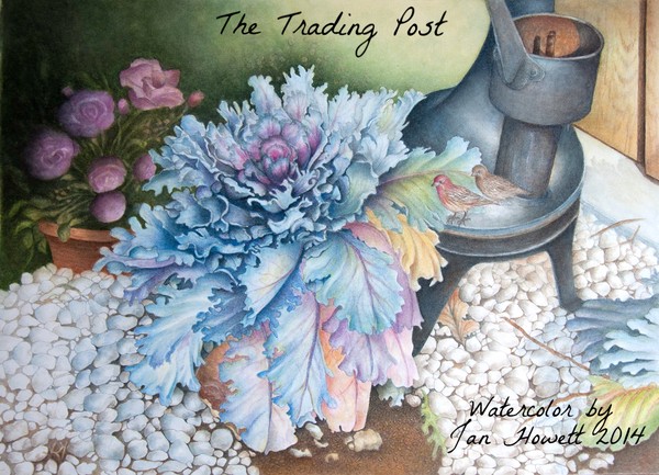 Trading Post-Flowering Kale
