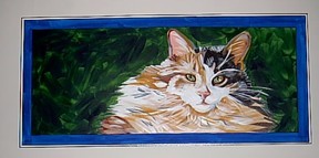 cat 