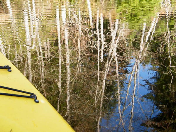 Reflections