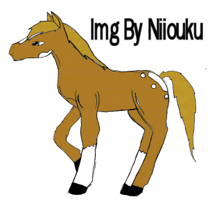 a Horse