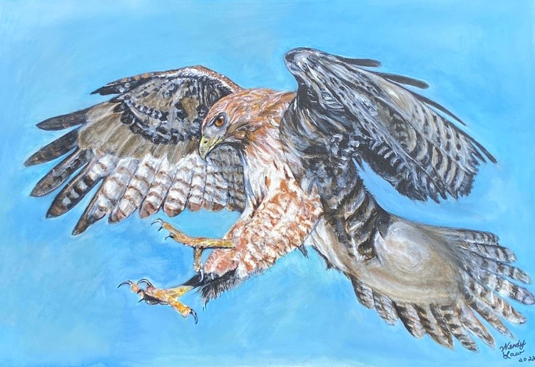 Hawkpainting
