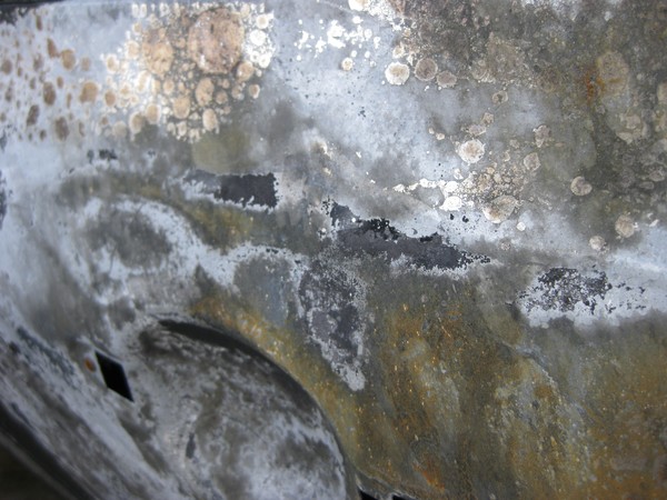 rust