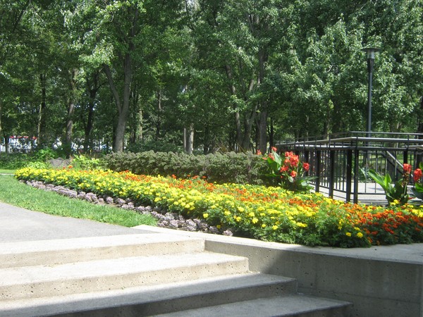 Mount Royal In August (Two)