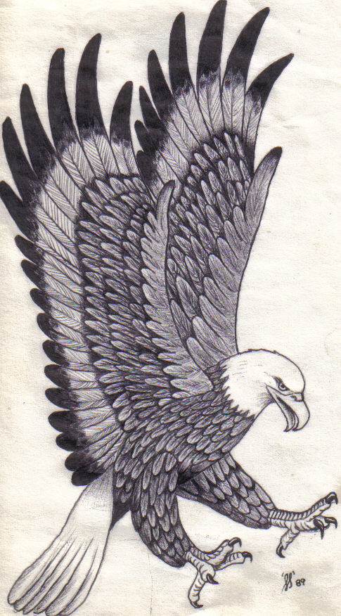 Eagle in Flight pattern