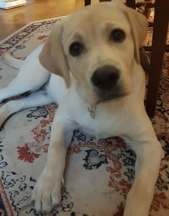 HELLO EVERYBODY !!!!