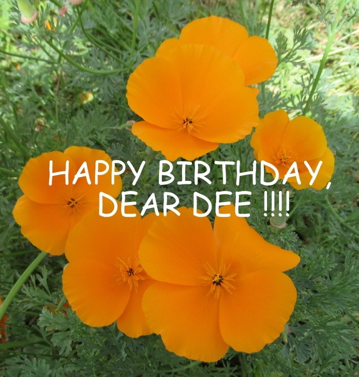 HAPPY BIRTHDAY, DEAR DEE !!!