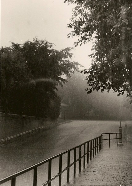 evening rain
