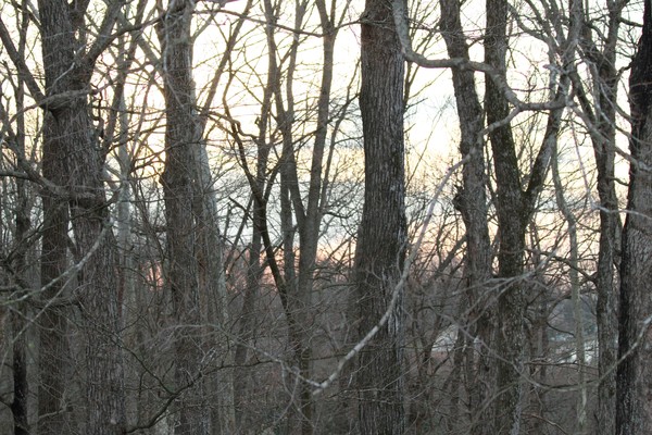20120302 15