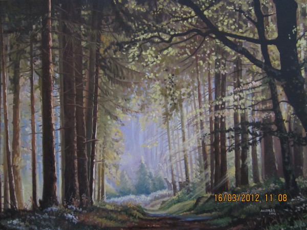 Enchanted Forest