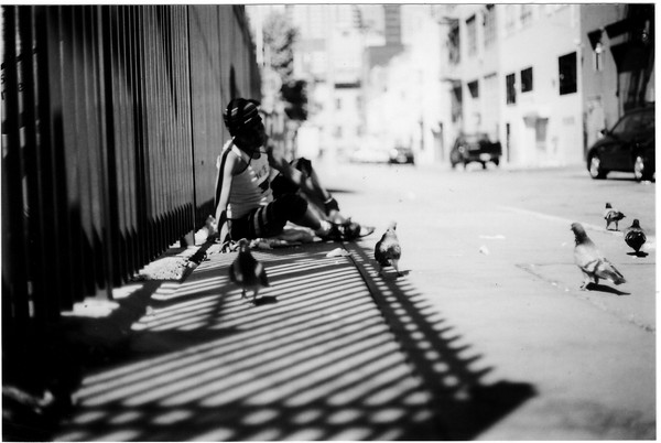 Pigeons for Dinner