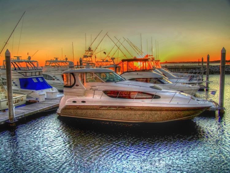 At the Marina