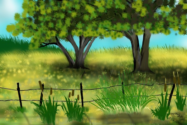 Field of  yellow flowers 