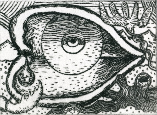 Die Evolution der Träne-The Evolution of the Tear