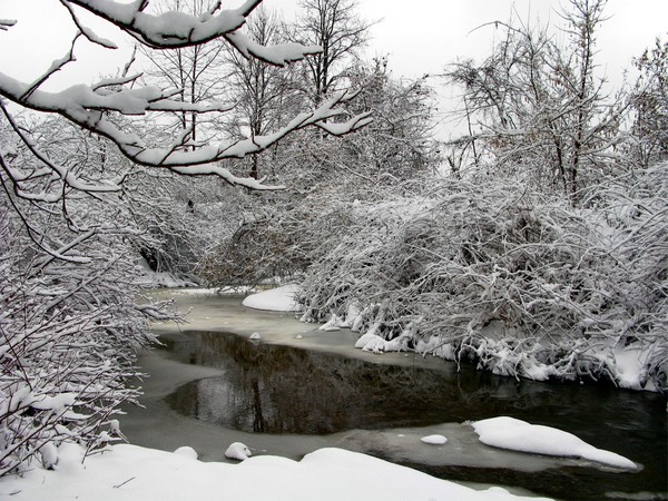 Mud Creek