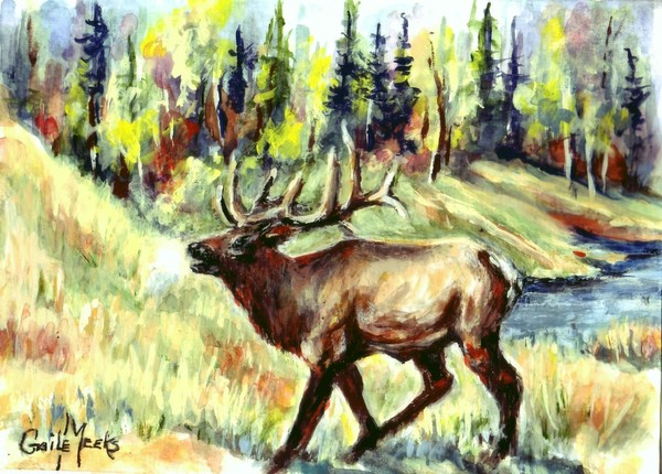 elk 2013 1