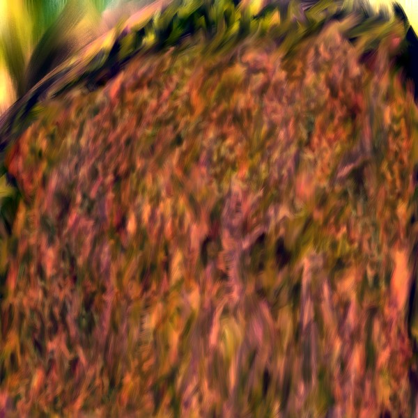 Gnomes