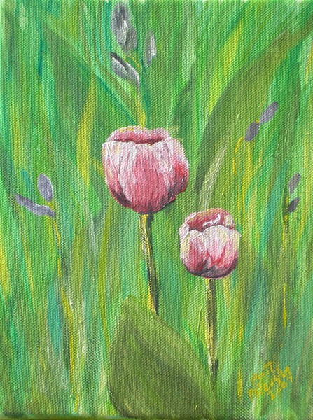 Spring Tulips