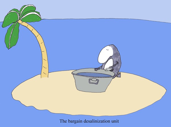 the bargain desalinization unit