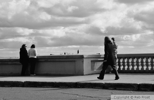 Montreal Scenes