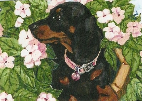 Bella