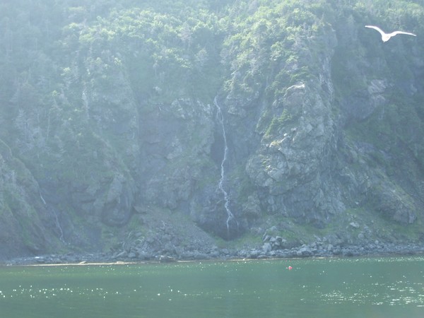 Tranquility