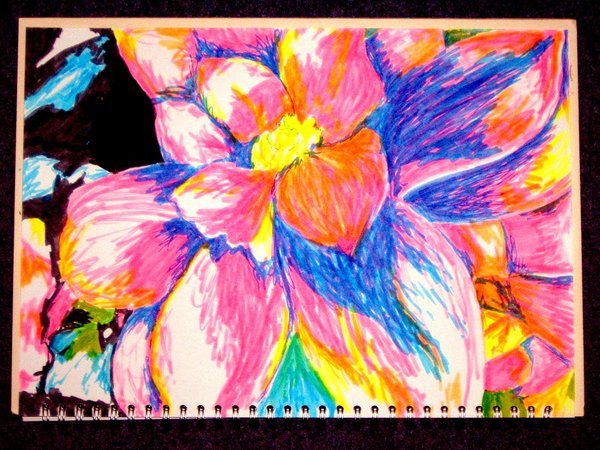 Pink Flower Drawing