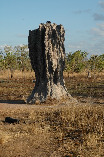 Termite mound