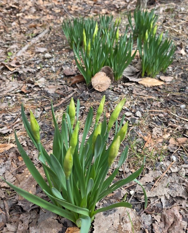 JUST WAITING FOR THEM OPEN!!