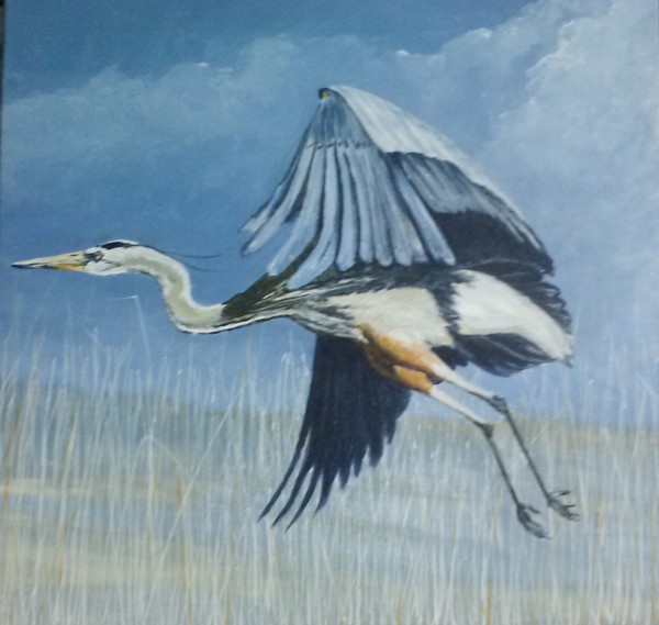 egret in flight