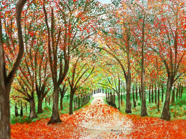 Let's go for a walk