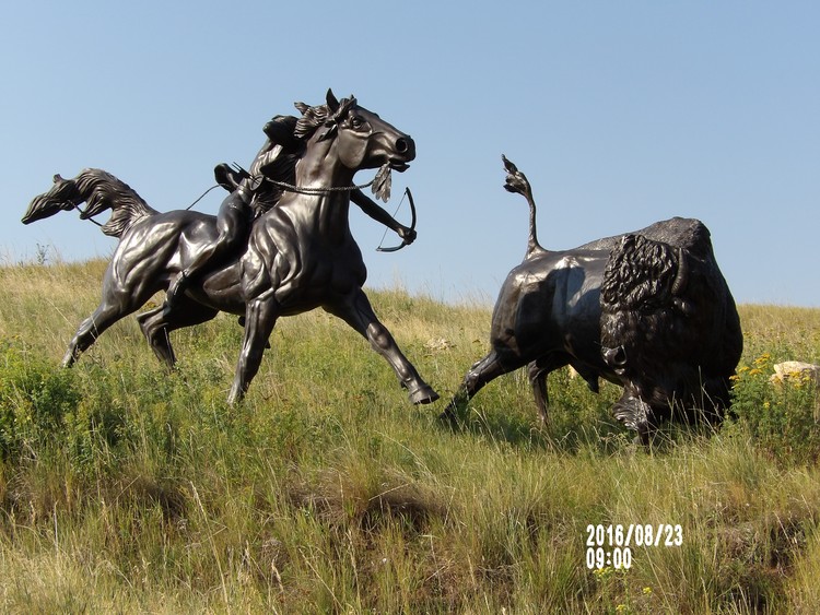 08 23 16 (6)  Tatanka