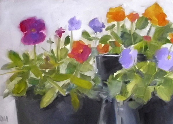 Pansies