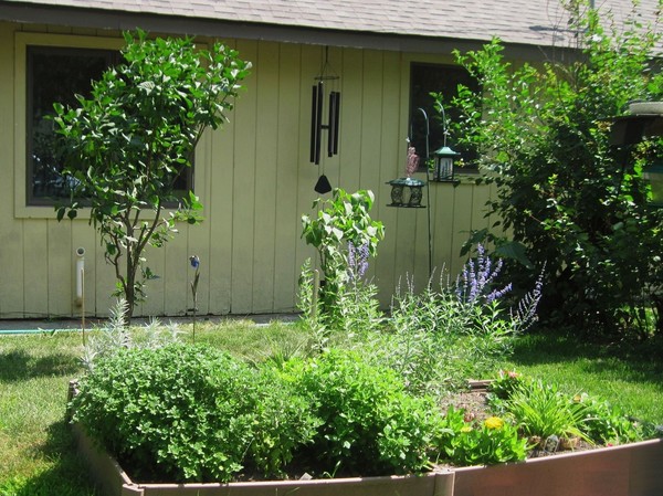 Little gardens 1