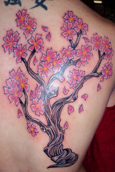 Cherry blossom tree