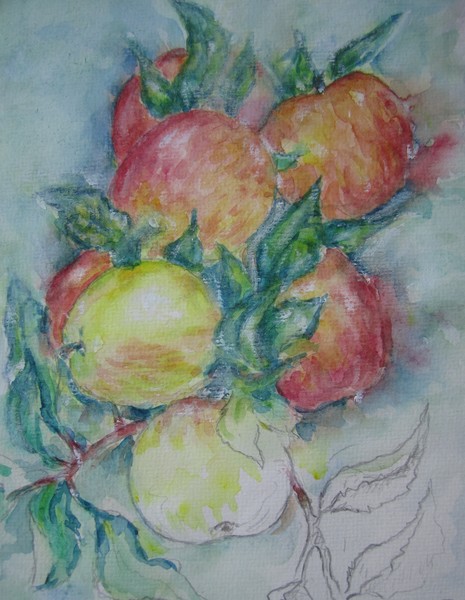 Apples