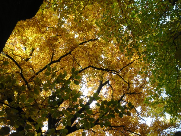 autumn 02