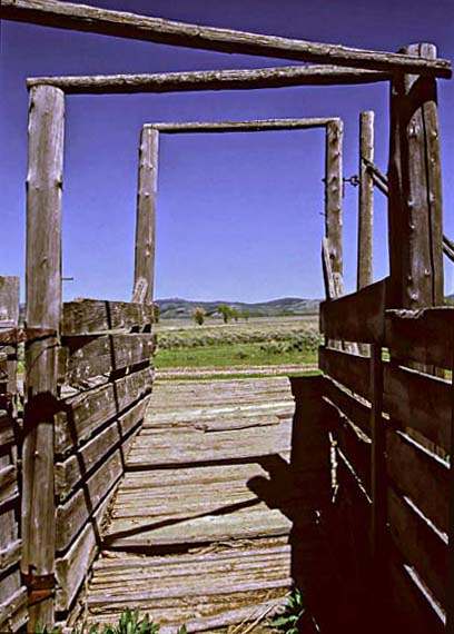 Abandoned Cattle Chute  Jackson Hole