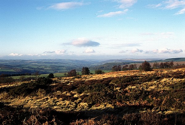 Moors near Beeley, Derbyshire, UK