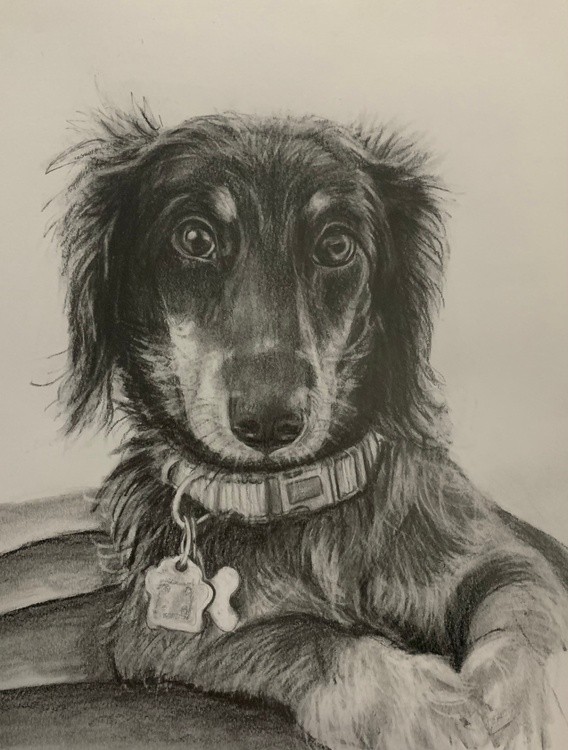 Cooper