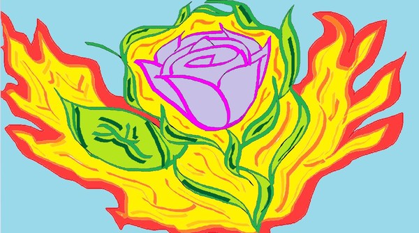Fire Rose