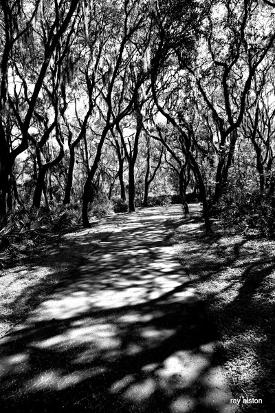 shadow walk 