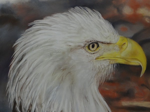 Potrait of an Eagle-Sold