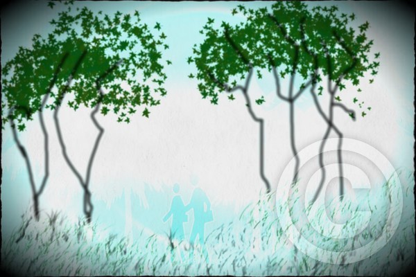 Cycle a Forest Dream