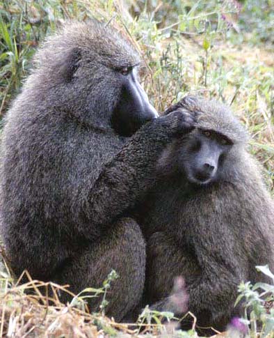 Let me whisper in your ear.
