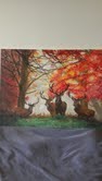 stags in autumn